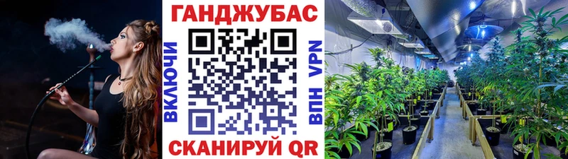 Бошки марихуана гибрид  сколько стоит  Шарья 